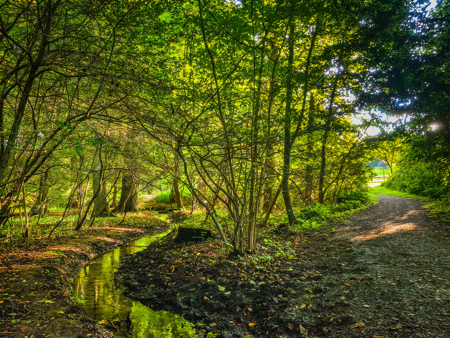 4 Tage Sauerland mit dem Wohnmobil